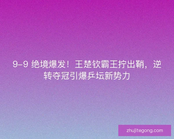9-9 绝境爆发！王楚钦霸王拧出鞘，逆转夺冠引爆乒坛新势力